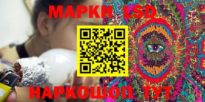 спиды Бийск