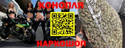спиды Бийск